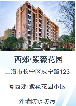 紫薇.png